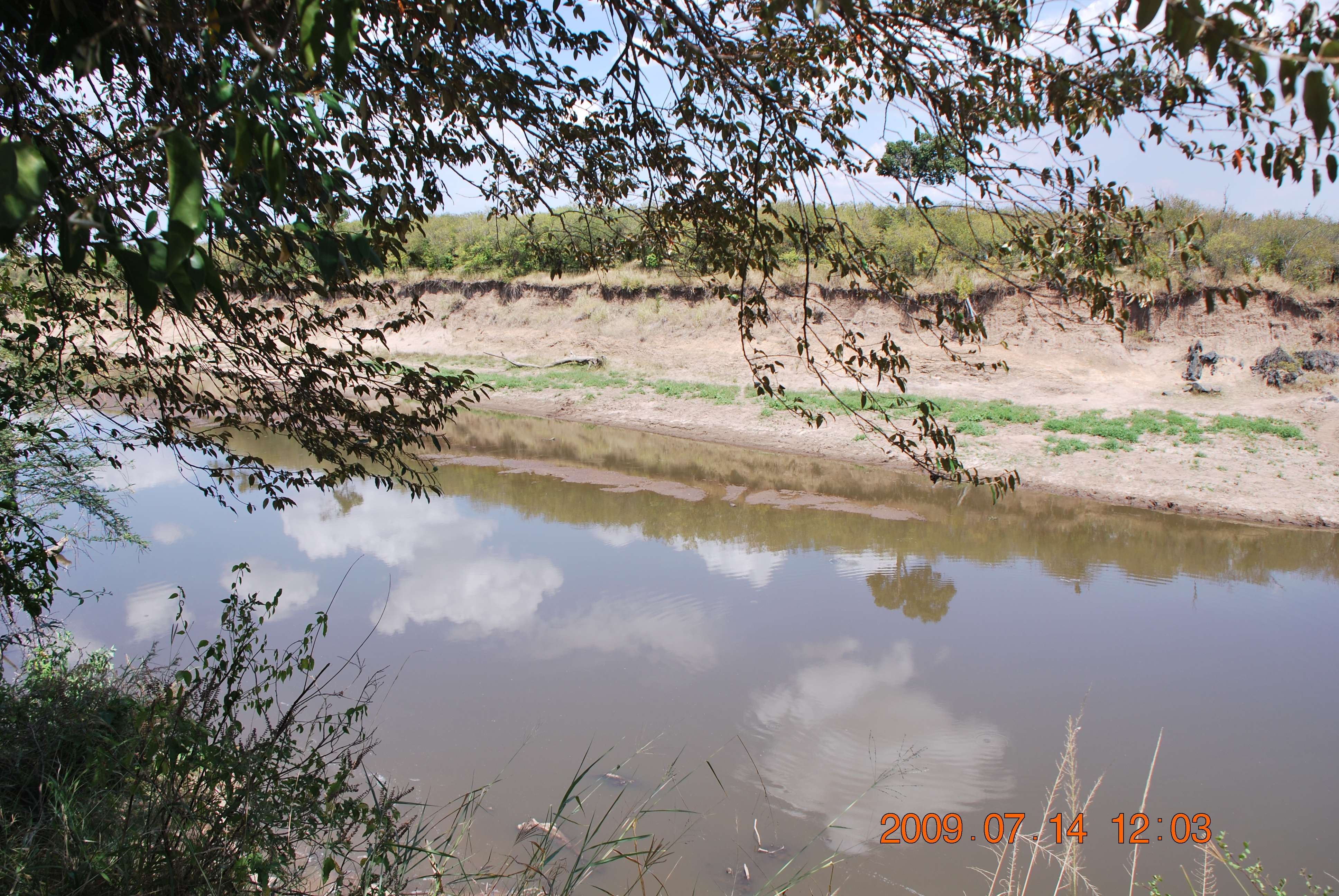 Kenia una experiencia inolvidable - Blogs de Kenia - El cruce del río Mara. (7)